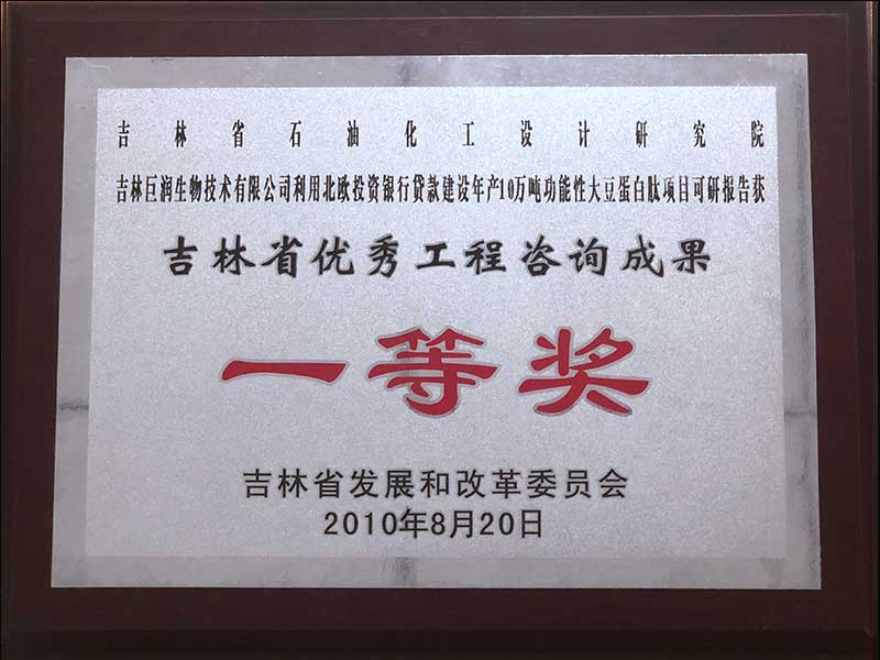 2010年吉林省优秀工程咨询成果一等奖
